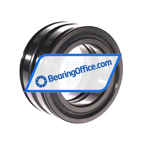 INA SL045012-PP-C3-L091 bearing image 2