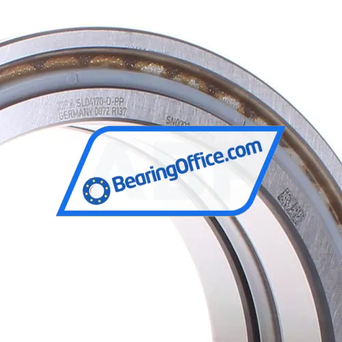 INA SL04170-D-PP bearing image 2