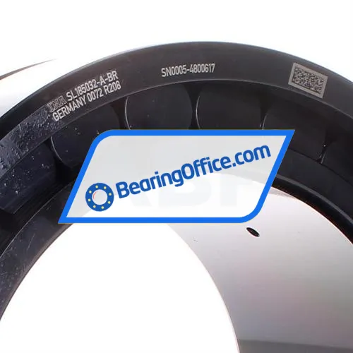 INA SL185032-A-BR bearing image 2