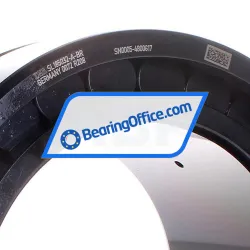 INA SL185032-A-BR rulman resim 2