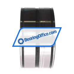 INA SL045026-D-PP-2NR-C3-GA22 rulman resim 2