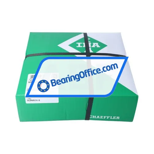 INA SL06024-E bearing image 3