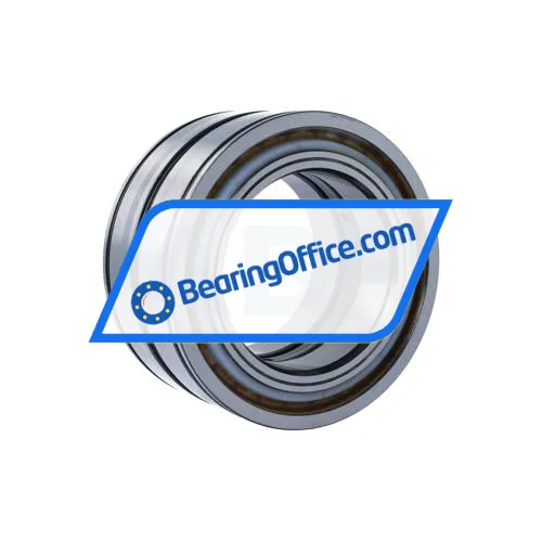 INA SL04100-D-PP-C3 bearing image 2