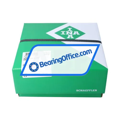 INA SL04100-D-PP-C3 bearing image 3