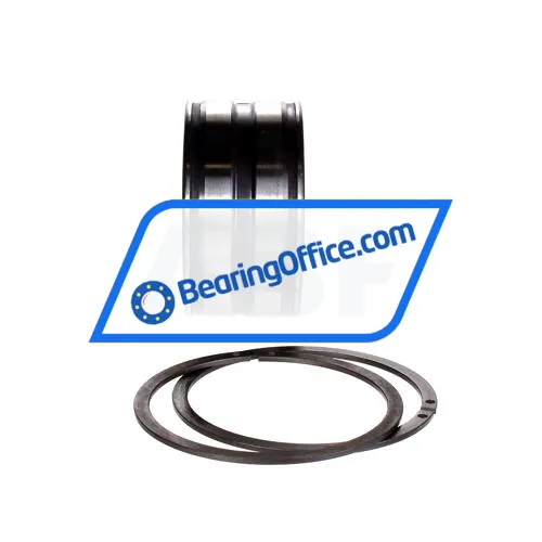 INA SL045009-PP-2NR-C3-GA22 bearing image 3