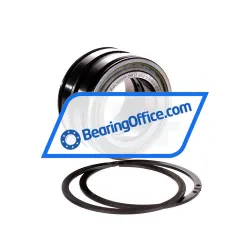 INA SL045009-PP-2NR-C3-GA22