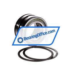 INA SL045009-PP-2NR-C3-GA22 rulman resim 2