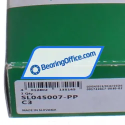 INA SL045007-PP-C3 rulman resim 4