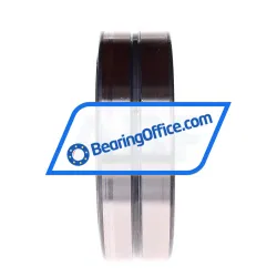 INA SL024920-A rulman resim 2