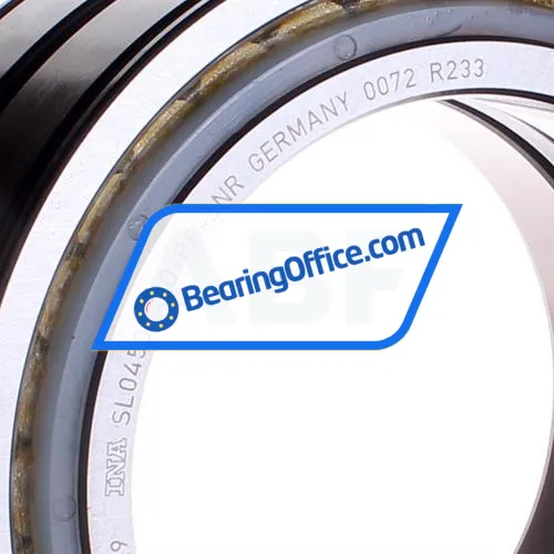 INA SL045024-D-PP-2NR bearing image 2