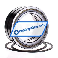 INA SL045024-D-PP-2NR