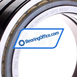 INA SL045024-D-PP-2NR rulman resim 2