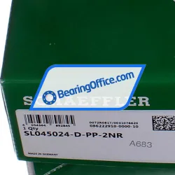 INA SL045024-D-PP-2NR rulman resim 5