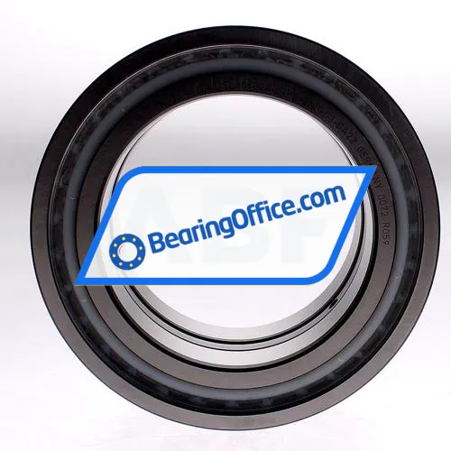 INA SL045024-D-PP-2NR-C3 bearing image 2
