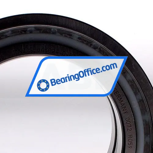 INA SL045024-D-PP-2NR-C3 bearing image 3