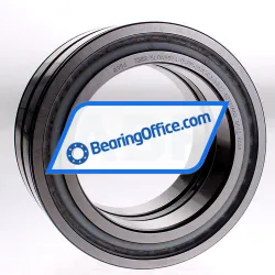 INA SL045024-D-PP-2NR-C3