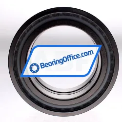 INA SL045024-D-PP-2NR-C3 rulman resim 2