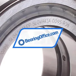 INA SL045011-PP rulman resim 2