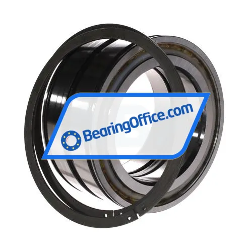 INA SL045017-D-PP-2NR bearing image 3
