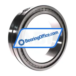 INA SL014934-A rulman resim 2