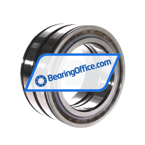 INA SL045019-D-PP-C3 bearing image 3