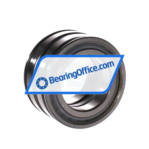 INA SL045009-PP bearing image 3