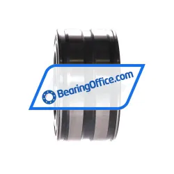 INA SL045009-PP rulman resim 2