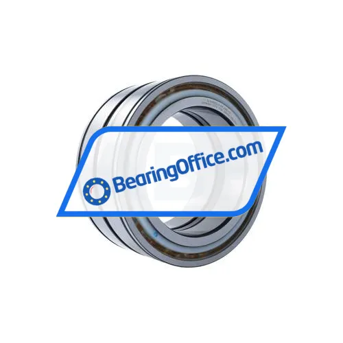 INA SL045032-D-PP-2NR-C3