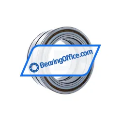 INA SL045032-D-PP-2NR-C3 rulman resim 2