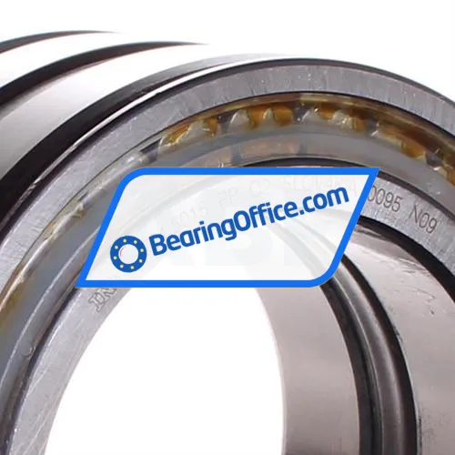 INA SL045015-PP-C2 bearing image 2