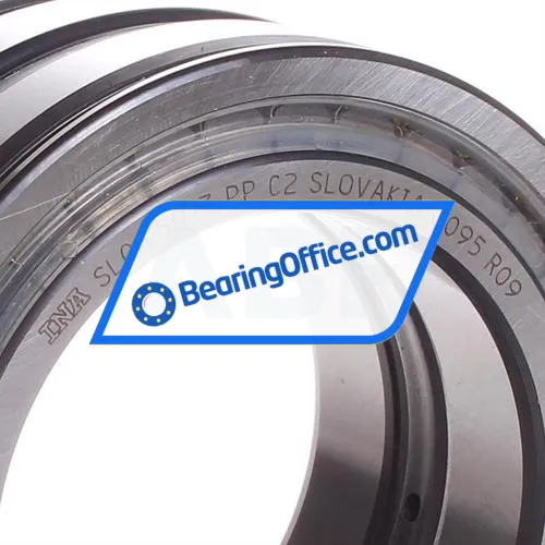 INA SL045013-PP-C2 bearing image 2