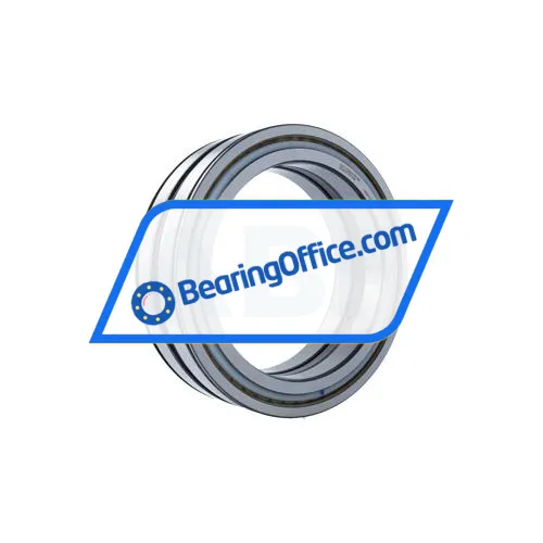 INA SL04200-D-PP-2NR