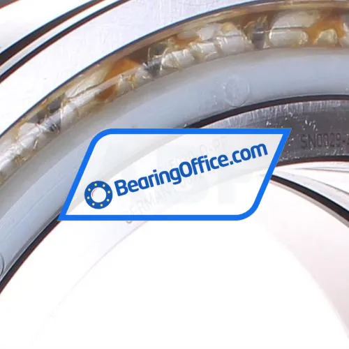 INA SL045030-D-PP bearing image 2