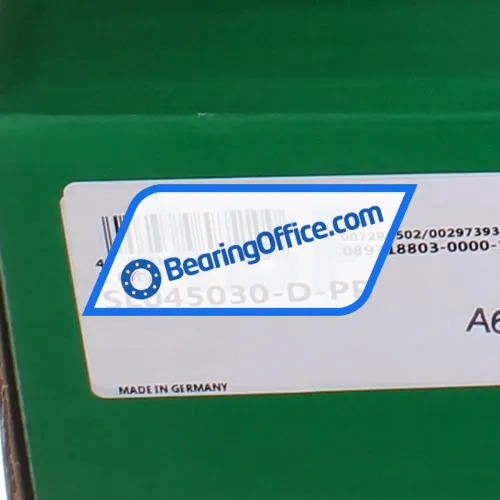 INA SL045030-D-PP bearing image 6