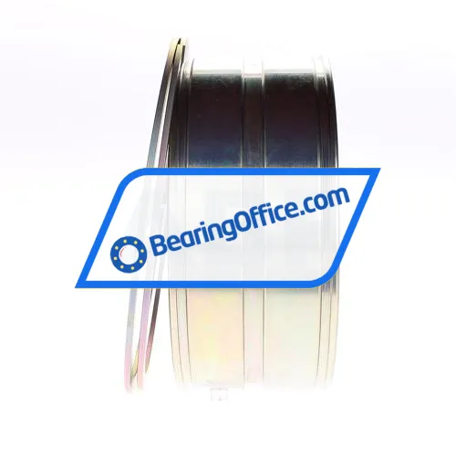 INA SL045024-D-PP-2NR-C3-GA22 bearing image 2