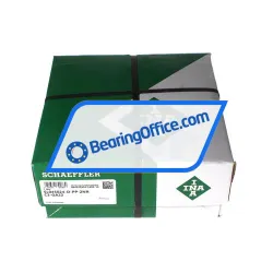 INA SL045024-D-PP-2NR-C3-GA22 rulman resim 3