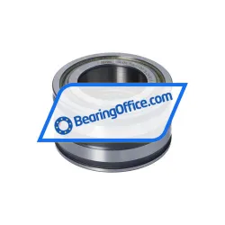 INA SL045007-PP rulman resim 4