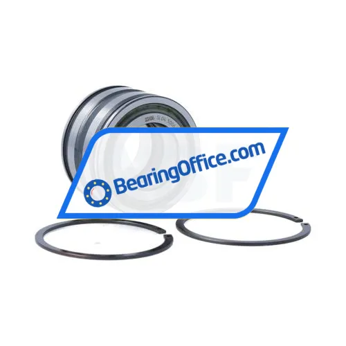 INA SL045006-PP-2NR-C3-L091