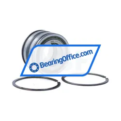 INA SL045006-PP-2NR-C3-L091