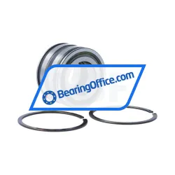 INA SL045006-PP-2NR-C3-L091 rulman resim 2