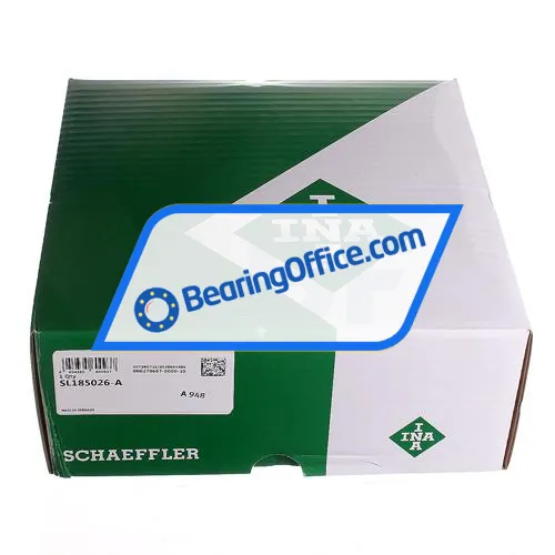 INA SL185026-A bearing image 4
