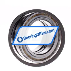 INA SL045020-D-PP-2NR