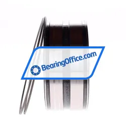 INA SL045020-D-PP-2NR rulman resim 2