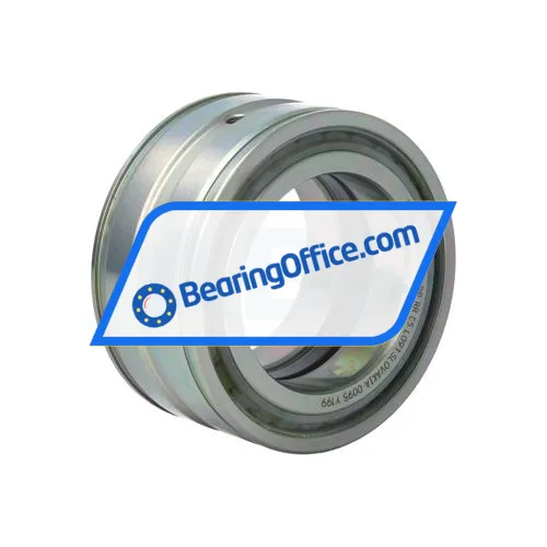 INA SL045010-PP-RR-C5-L091