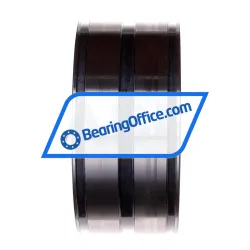 INA SL045017-D-PP rulman resim 2