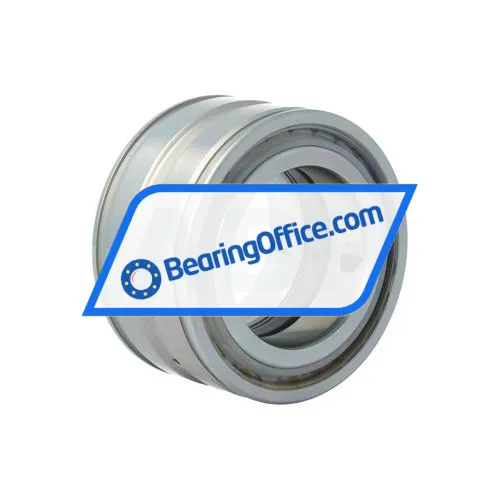 INA SL045009-PP-RR bearing image 2