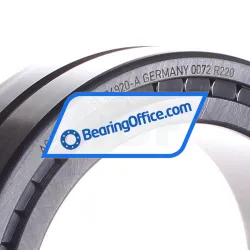 INA SL184920-A rulman resim 2