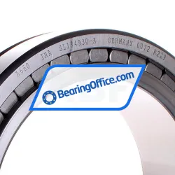 INA SL184930-A rulman resim 2