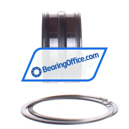 INA SL045009-PP-2NR bearing image 2