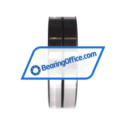 INA SL014924-A rulman resim 2